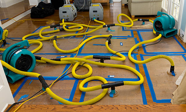 Professional Structural Drying And Dehumidification technician working in Flanders, NY